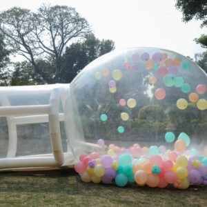 BUBBLE HOUSE